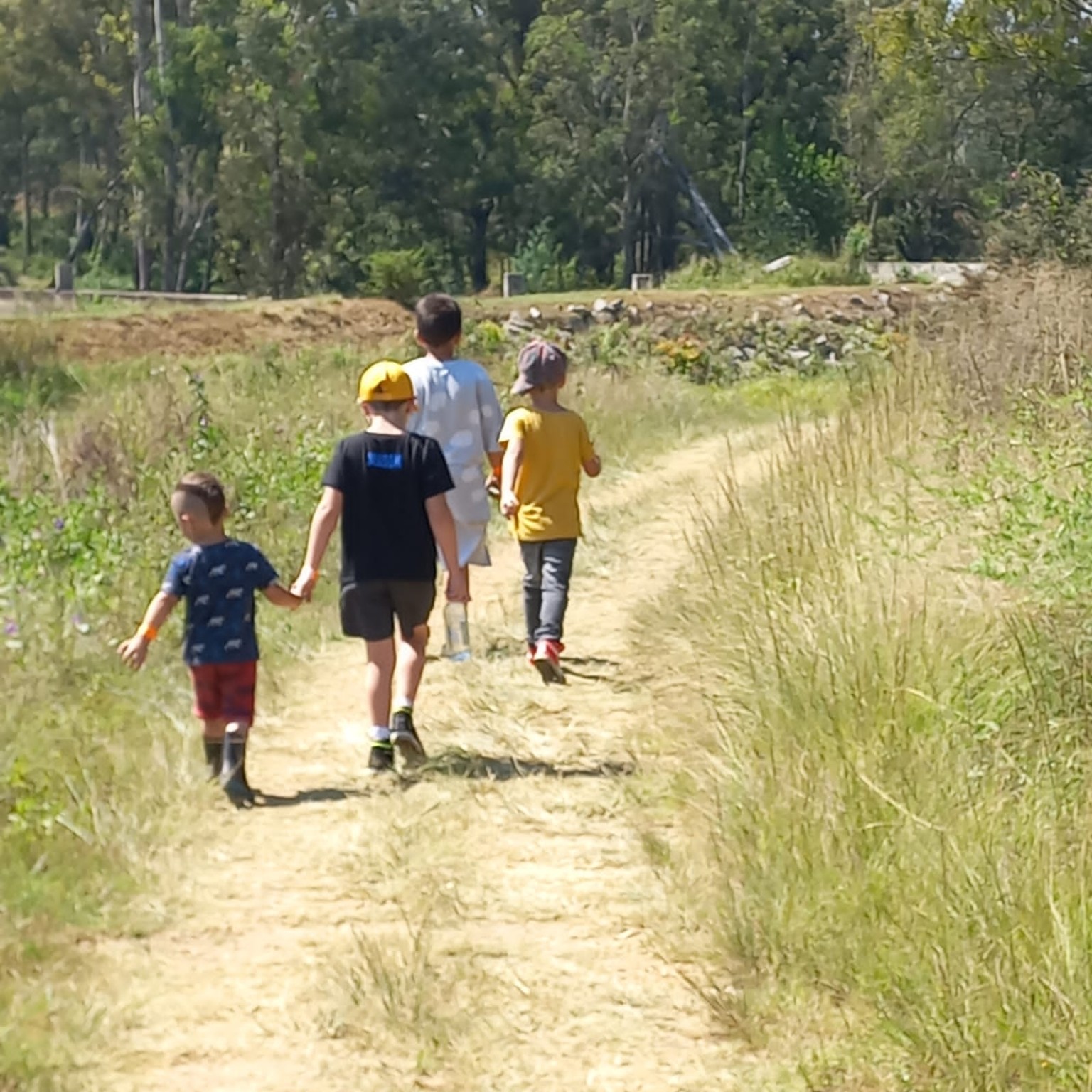 Children walking together on a nature trail