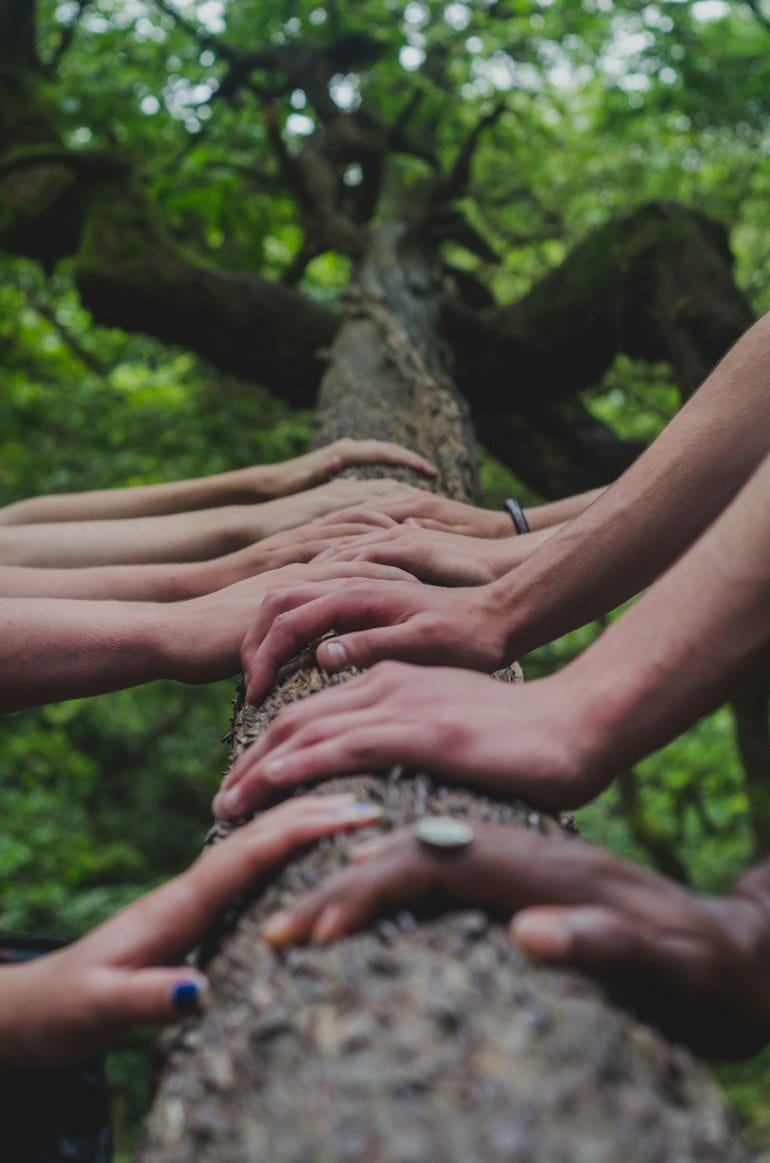 A real outdoor learning moment from the New Roots photo collection
